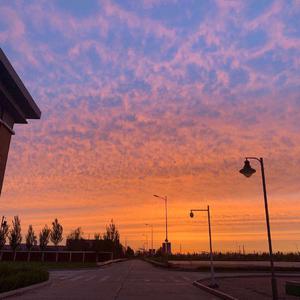 老年人做爰性视频
